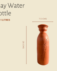 Clay water bottle dimensions